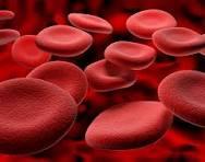Emergency Blood Support