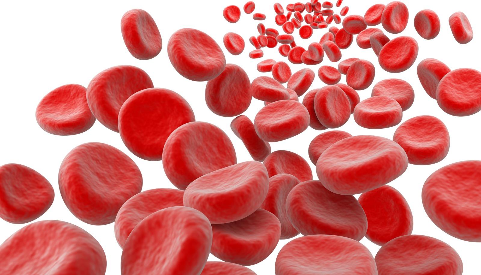 Haematology